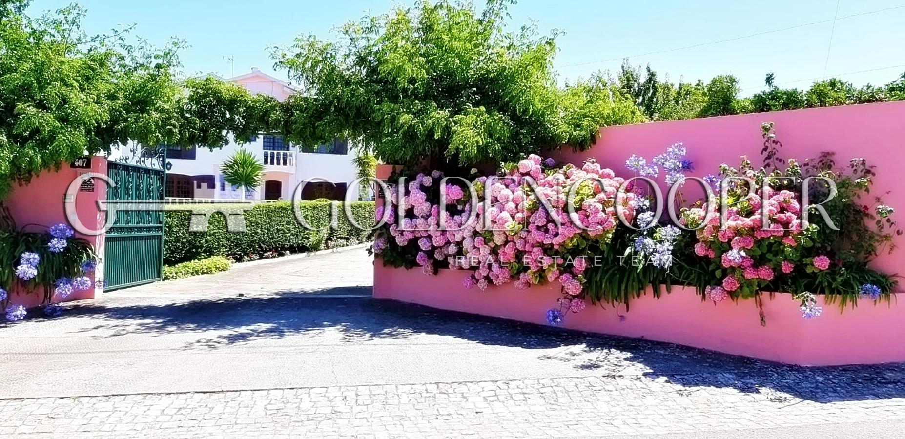 146717993 – Cópia